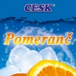 Pomeran�ov� ovocn� zmrzlina 1 ks profi